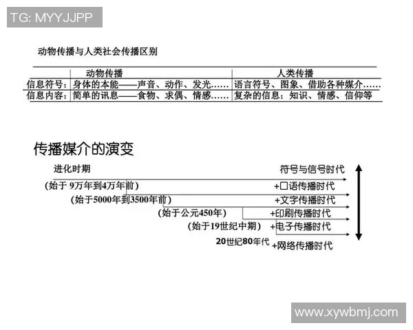 上海乒乓球队的精神风貌与发展历程深度解析 上海乒乓球队的精神风貌与发展历程深度解析