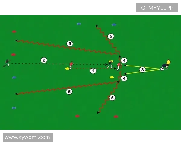 好足球员的成长之路与职业生涯的辉煌成就探讨