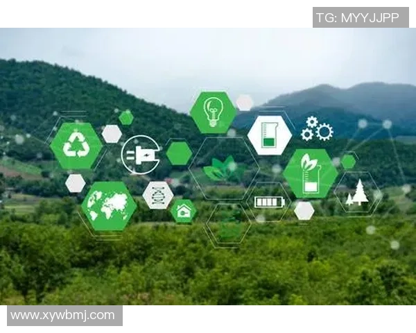 足球选手权的保护与发展探讨：促进公平竞争与职业生涯的可持续性