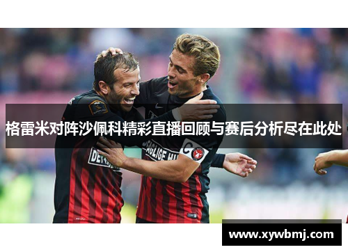 格雷米对阵沙佩科精彩直播回顾与赛后分析尽在此处